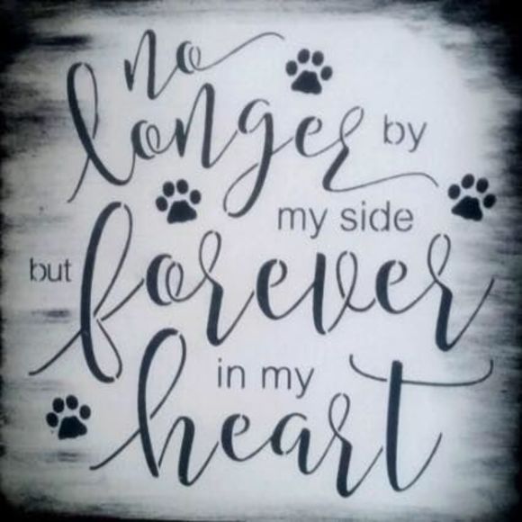 Meet your Posher, Victoria - Picture 1 of 1